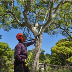 RYOBI Potatore Telescopico a batteria EZ REACH 18V ONE+, barra da 20cm - solo corpo